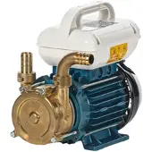 TELLARINI POMPE Tellarini EEM 20L - Umfüllpumpe aus Messing - 230V