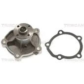 TRISCAN Wasserpumpe 8600 69008