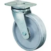BS Rollen Schwerlastrolle (RR100.C81.250)