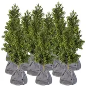 ROYAL GARDINEER 12er-Set Thermo-Topfschutz für Pflanzen,40x40cm,mit Drainage,anthrazit