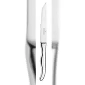 Picard & Wielpütz Solingen 12 x HACIENDA Steakmesser 6111