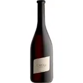 Domaine Jean René Germanier Cayas Syrah Réserve 2020 - Domaine Jean-René Germanier