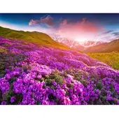 Papermoon Fototapete "Berge Blumen", bunt, B:2m L:1,49m, Vlies, Tapeten, Fototapete