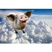Papermoon Fototapete "Fliegende Schweine", bunt, B:3m L:2,2m, Vlies, Tapeten, Fototapete