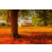 Papermoon Fototapete "Herbstlandschaft", bunt, B:4,5m L:2,8m, Vlies, Tapeten, Fototapete