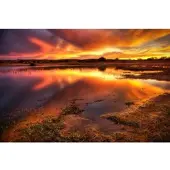 Papermoon Fototapete "Flammender Himmel", bunt, B:4,5m L:2,8m, Vlies, Tapeten, Fototapete