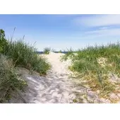 Papermoon Fototapete "Dünen in der Ostsee", bunt, B:4,5m L:2,8m, Vlies, Tapeten, Fototapete
