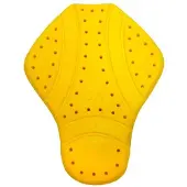 Rainers Rückenprotektor