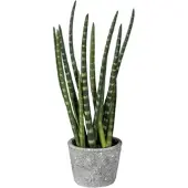 Creativ Green Creativ-green Kunstpflanze Sansevieria, im Topf, Höhe 45 cm