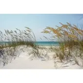 Papermoon Fototapete "Ocean Beach Dunes", bunt, B:4m L:2,6m, Vlies, Tapeten, Fototapete