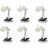 Creativ Green künstliche Pflanze Phalaenopsis, 30 cm, 3er Set