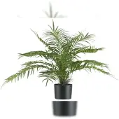 Creativ Green künstliche Pflanze Areca Palmbusch, 70cm, schwer entflammbar