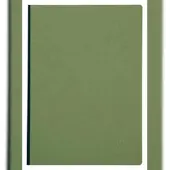 Clairefontaine 5x Notizbuch AgeBag A4 Leinen blanko 96 Blatt - Grün 791403C