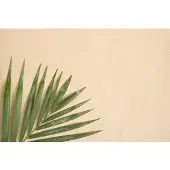 A.S. Création Vliestapete "Botanik-Tapete Palmenblatt Sand Beige Grün" matt glatt