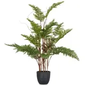 Creativ Green künstliche Pflanze Adlerfarn, 70cm