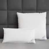 BETTWARENSHOP Federkissen Premium 70% Federn 30% Daunen 40x80 cm