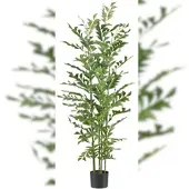 Creativ Green künstliche Pflanze Caryota mitis Palme, 150cm, schwer entflammbar