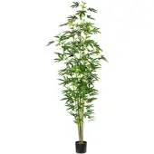 Creativ Green Künstliche Zimmerpflanze "Zierhanfpflanze", grün, H:210cm, Obermaterial: 60% Polyester, 40% Polyethylen, Kunstpflanzen, Künstliche Zimmerpflanze
