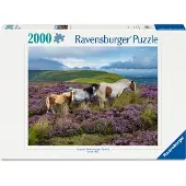 Ravensburger Wildpferde in der Heide 12001751
