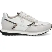 Gabor Sneaker low in multicolour | Gr.: 40-dot-5