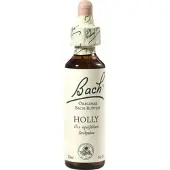 Nelsons Bach-Blüte Holly 20 ML