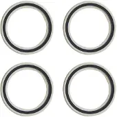 Fulcrum R0-025 Bearings Silber