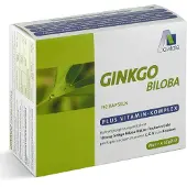 Avitale GINGKO-Biloba 192 St