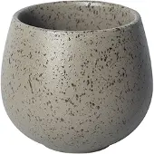 Loveramics Brewers - 150 ml Nutty Tasting Cup - Granite