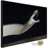Papermoon Infrarotheizung »EcoHeat - Schwarze Mamba angreifen«, Matt-Effekt - bunt