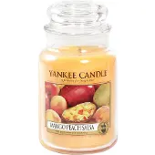 Yankee candle Duftkerze Duftwachsglas groß Mango Peach Salsa 1 St
