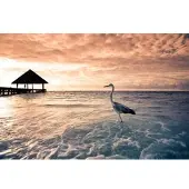 Papermoon Fototapete "Flamingo Tropical Beach", bunt, B:5m L:2,8m, Vlies, Tapeten, Fototapete