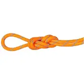Mammut Alpine Sender Dry 8.7 Mm Seil