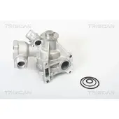 TRISCAN Wasserpumpe 8600 23006