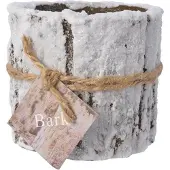 BARK Stumpenkerzen 8x7cm Baumstamm Weihnachtskerzen Adventskerzen Zylinderkerzen weiß