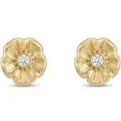 Coach Ohrringe 37546482 Goldfarben