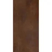 Winwall Duschrückwand Aluverbund Rost braun, 1 Stück, 2500x1250 mm
