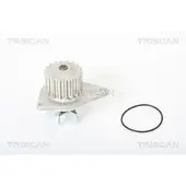 TRISCAN Wasserpumpe [Hersteller-Nr. 860028017] für Peugeot, Citroën