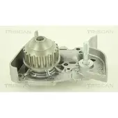 TRISCAN Wasserpumpe 8600 25009