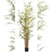 Creativ Green künstliche Pflanze Bambus vulgaris, ca 220cm