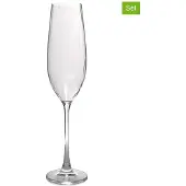 Salt & pepper Sektgläser Saga Transparent 290 ml (4er Set)