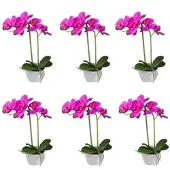 Creativ Green künstliche Pflanze Phalaenopsis, 33 cm, "Real Touch", 6er Set