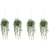 Creativ Green künstliche Pflanze Senecio herreianus Hängeampel ca 55cm, 4er Set