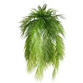Creativ Green künstlicher Dekohänger Palmwedel, grün, ca. 100x Ø50cm