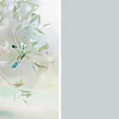 Winwall Duschrückwand Aluverbund Olive, 2-er Set, 2500x1250 mm