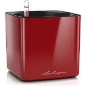 Lechuza 'Cube Glossy 16', scarlet-rot, 17 x 17 x H 16 cm