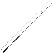 Penn Raubfischrute Conflict Inshore Spinning Rod
