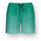 Vingino Badeshorts Xandro Junge Grün 164