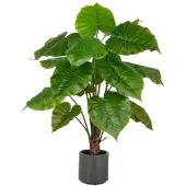 Creativ Green künstliche Pflanze Alocasia Wentii, 100cm im grauen Kunststofftopf mit Erde