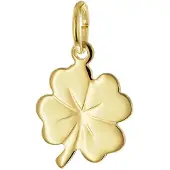 Trendor 21552 Kinderschmuck Anhänger Kleeblatt 925 Silber Vergoldet