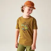 Dare 2b Dare2b Trailblz Iiitee dark cumin (ZJ2) 9-10yrs